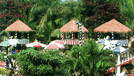 Palm Village Resort - Garden Huts