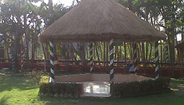 Palm Village Resort - Garden
