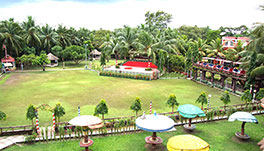 Palm Village Resort - Lawn Top View