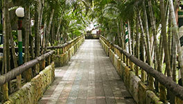 Palm Village Resort - Pathways