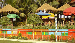 Palm Village Resort - Lawn