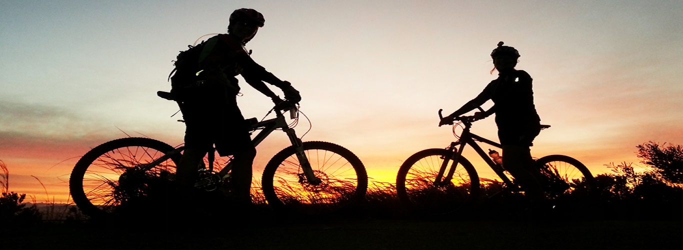 Palm Village Resort - Slider-3